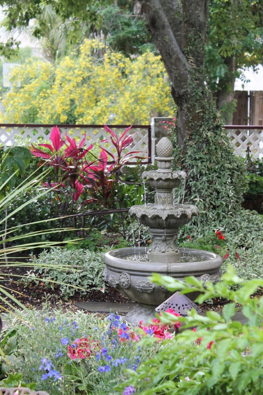 סיינט אגוסטין Cedar House Inn מראה חיצוני תמונה